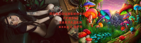 амф Новокубанск