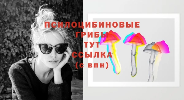 стафф Новозыбков