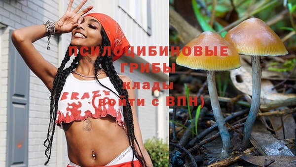 амф Новокубанск