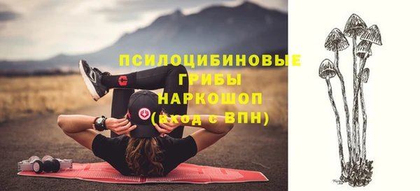 амф Новокубанск