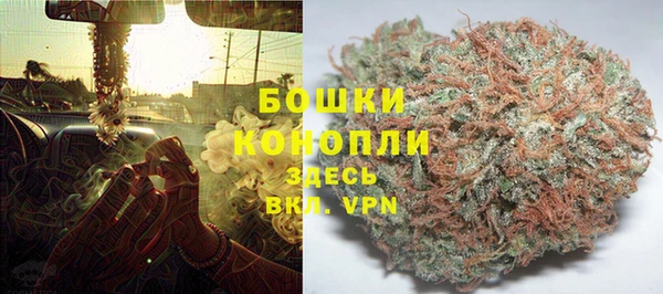 стафф Новозыбков