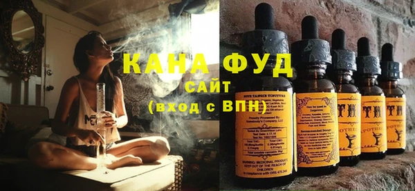 молекула духа Новодвинск