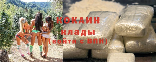 стафф Новозыбков