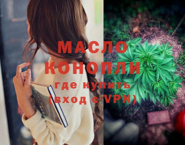 стафф Новозыбков
