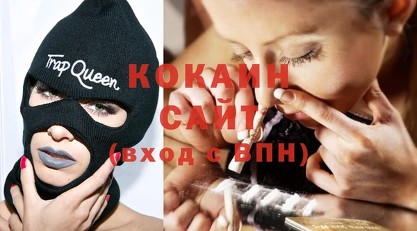 стафф Новозыбков
