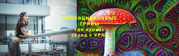 стафф Новозыбков
