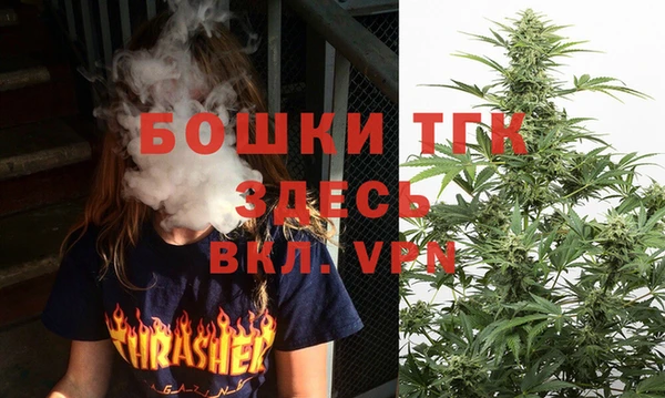 стафф Новозыбков