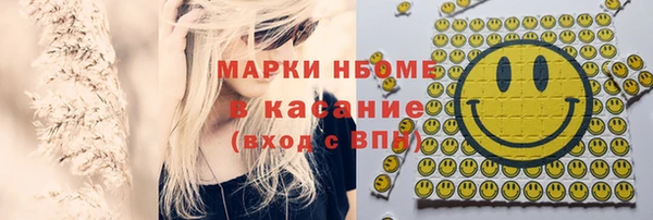 стафф Новозыбков